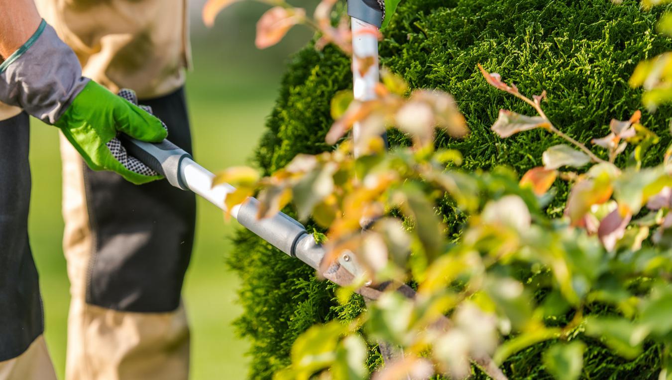 Garden Maintenance in Perth WA