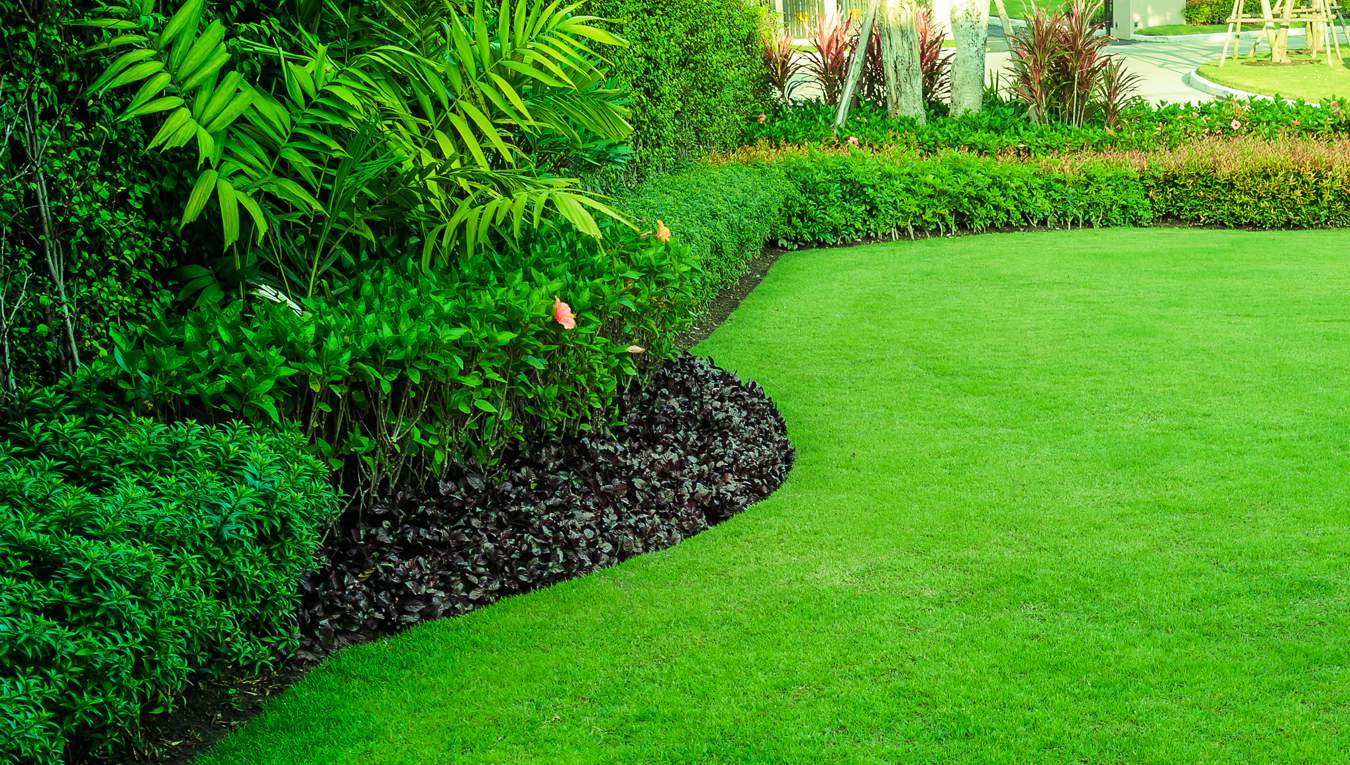 Professional Landscape Designers in Perth